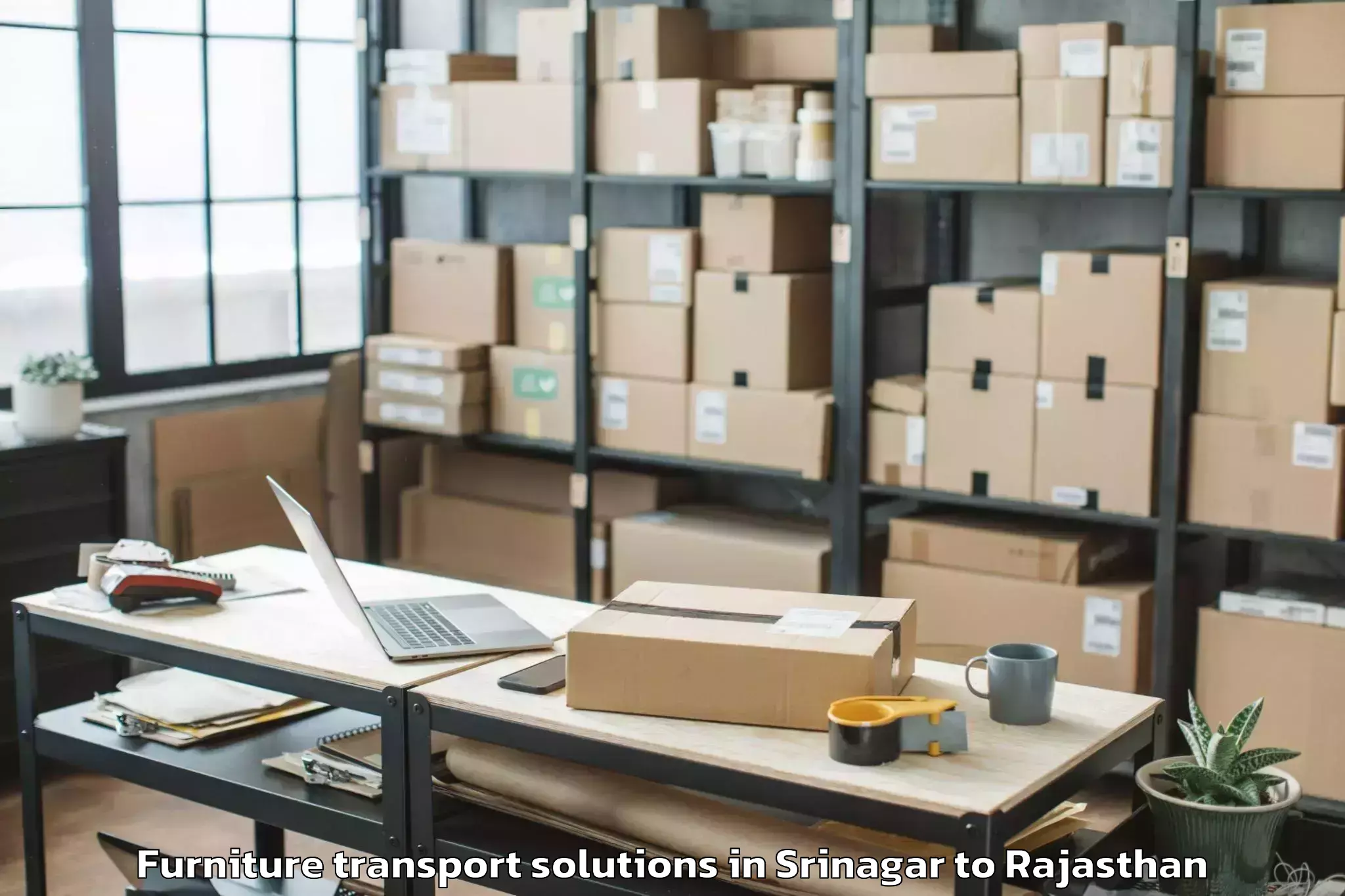 Trusted Srinagar to Bari Sadri Furniture Transport Solutions